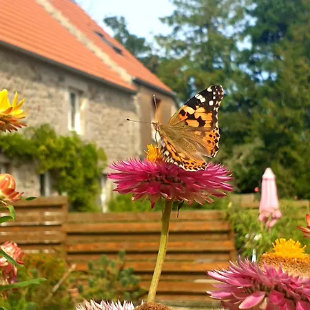 بيت للعطل Du Clos Giot