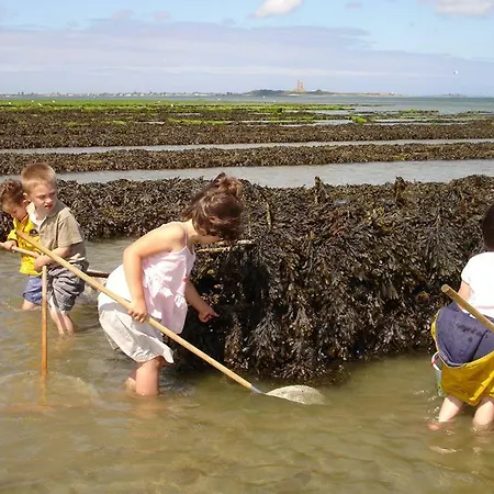 Du Clos Giot * Saint-Vaast-la-Hougue
