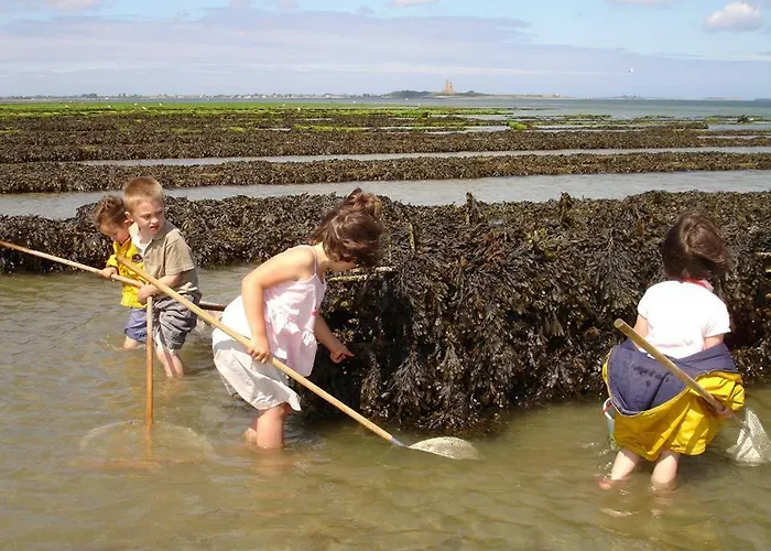 De La Ferme Du Clos Giot * Saint-Vaast-la-Hougue